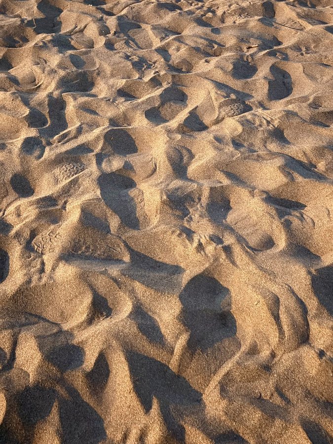 Tenerife 8