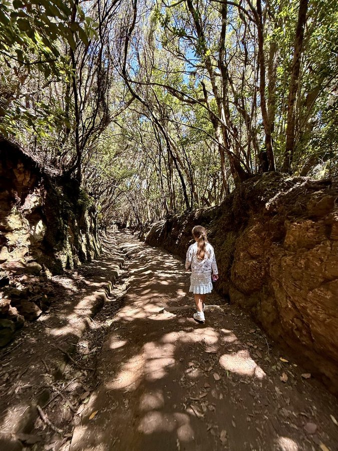 Tenerife 14